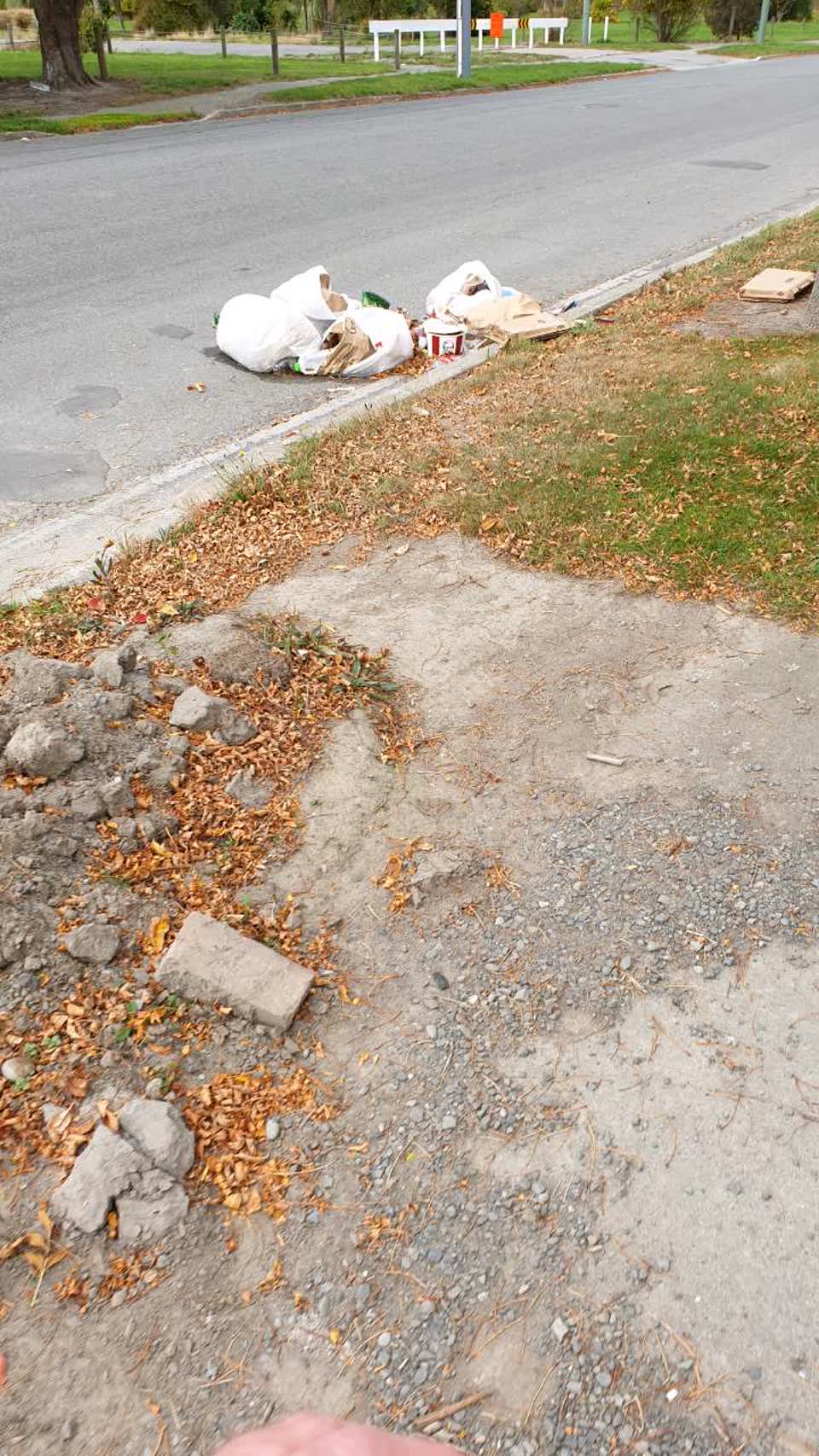 The photograph attached to this rubbish/recycling report