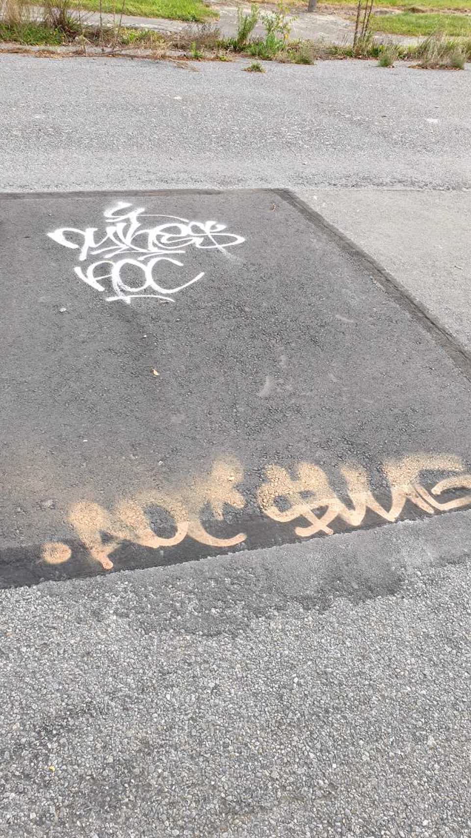 The photograph attached to this graffiti report