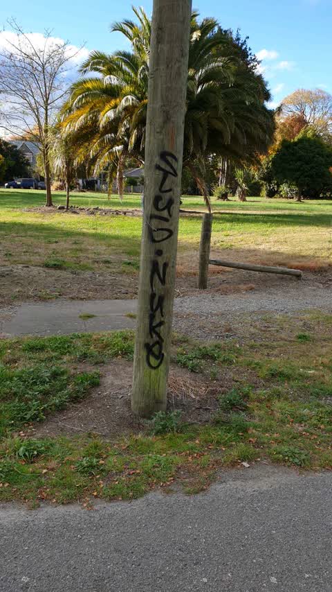 Graffiti, a report photo