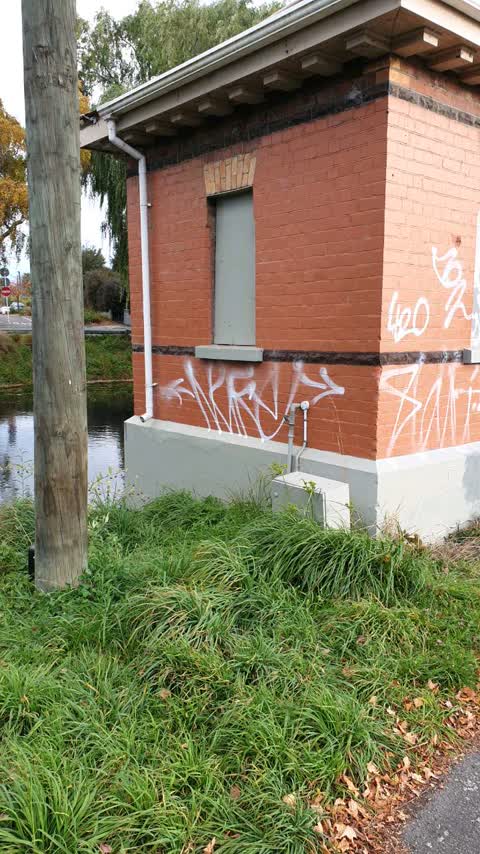 Graffiti — a report photo