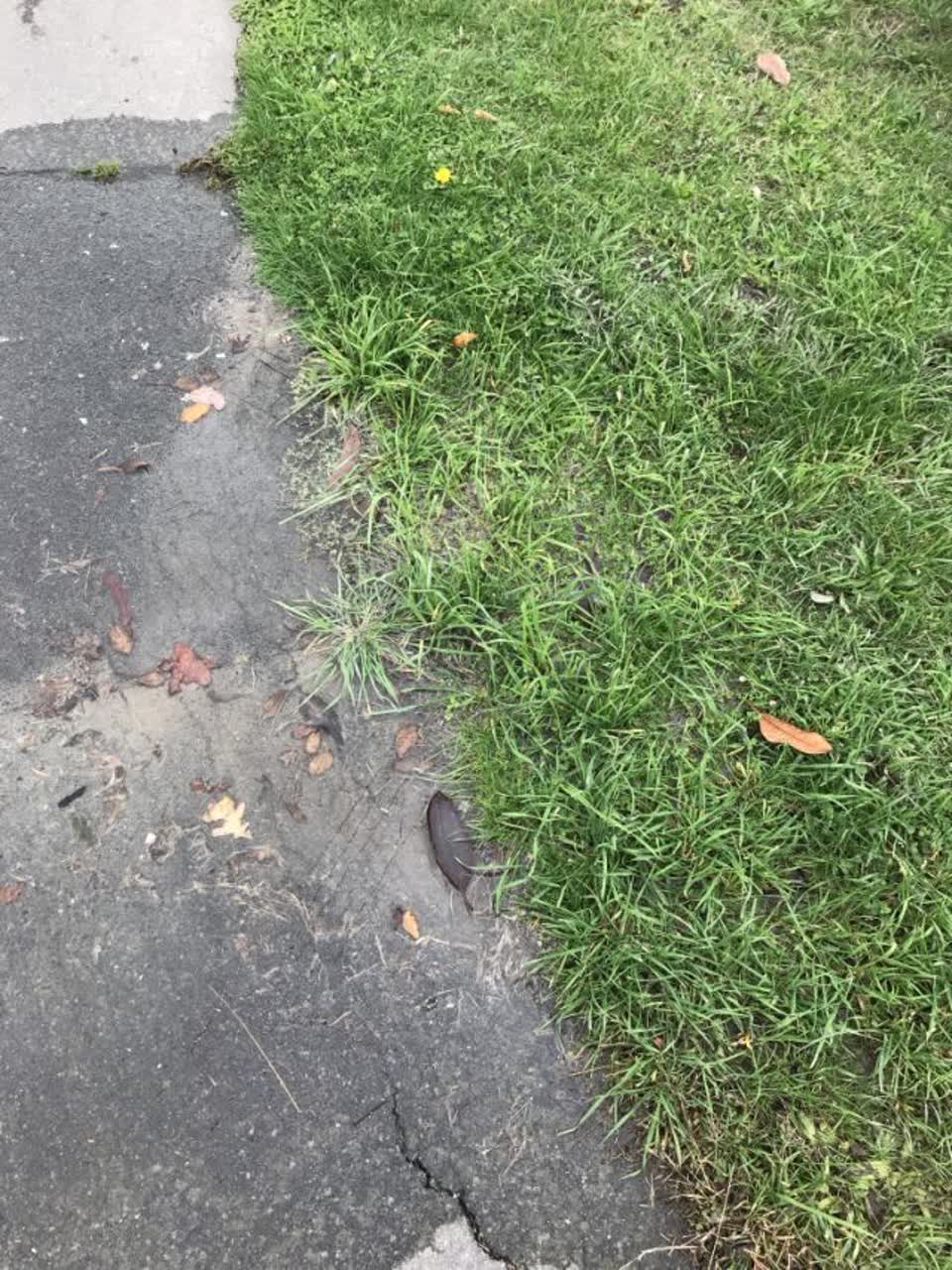 The photograph attached to this water supply report