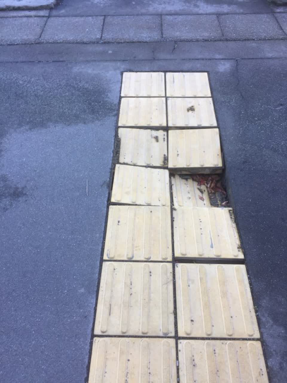 The photograph attached to this roading/streets report