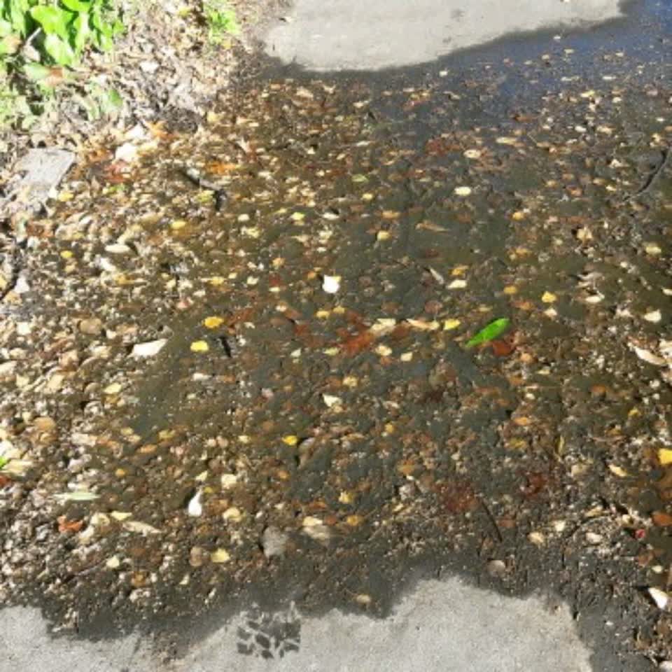 The photograph attached to this water supply report