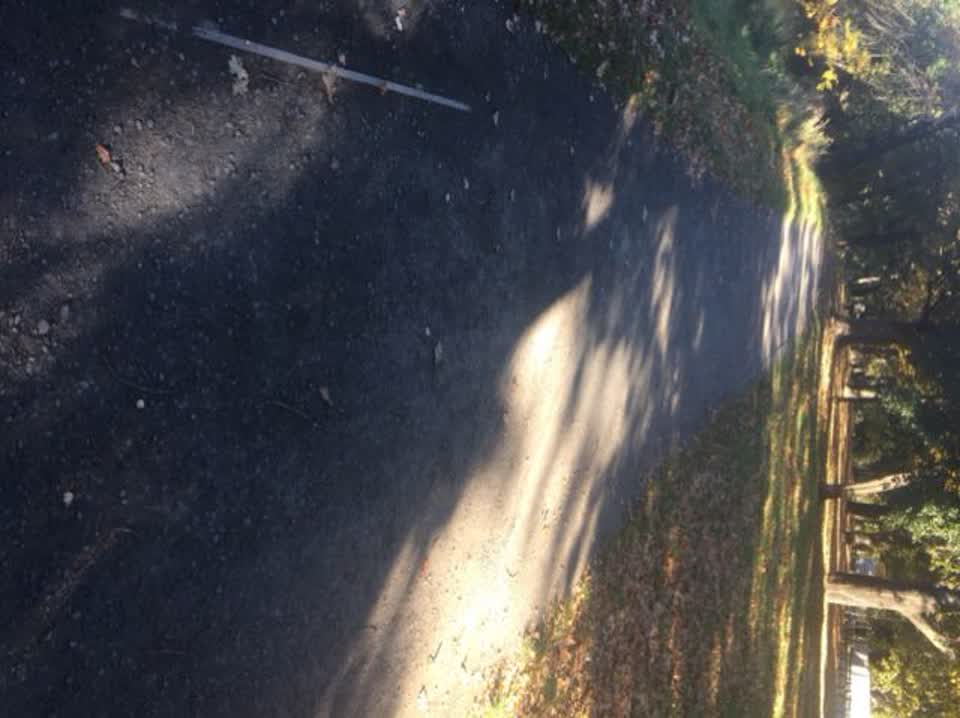 The photograph attached to this parks report