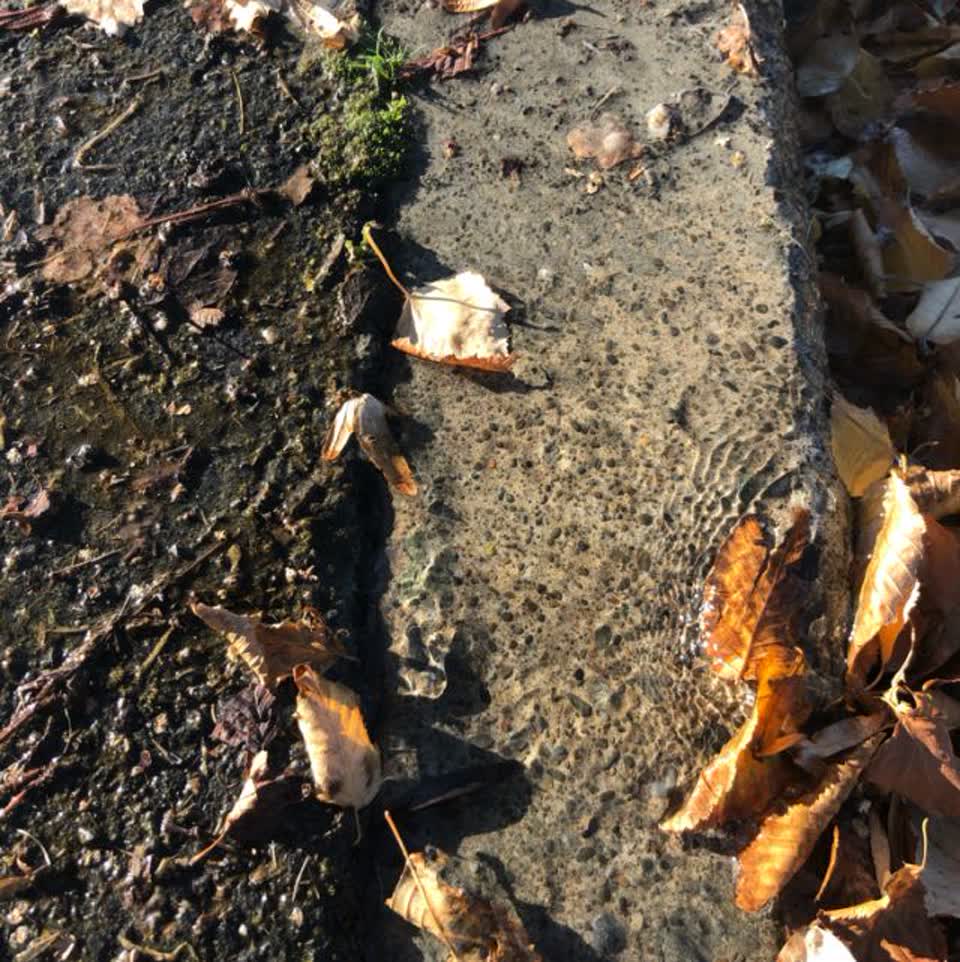 The photograph attached to this water supply report