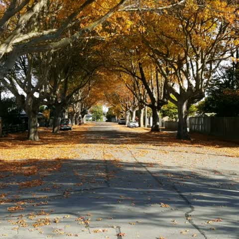Roading/Streets, a report photo