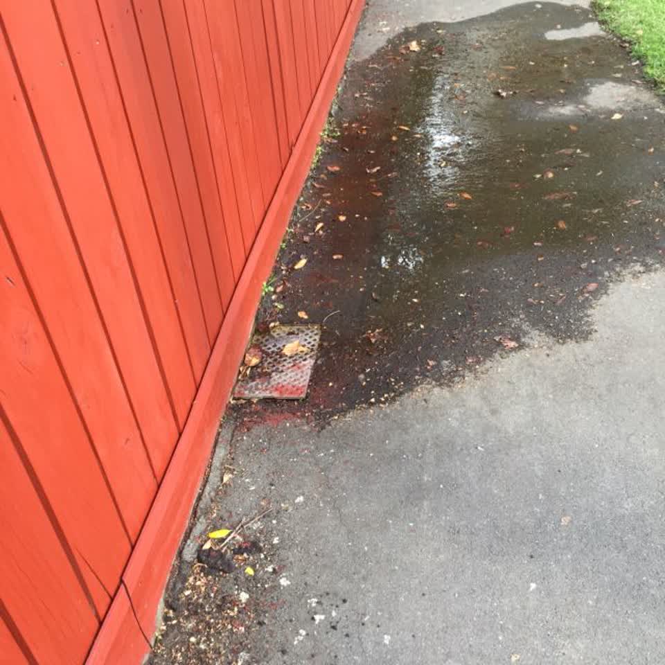 The photograph attached to this wastewater/stormwater report