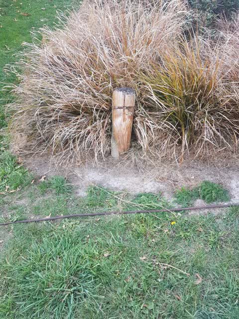 Parks, a report photo