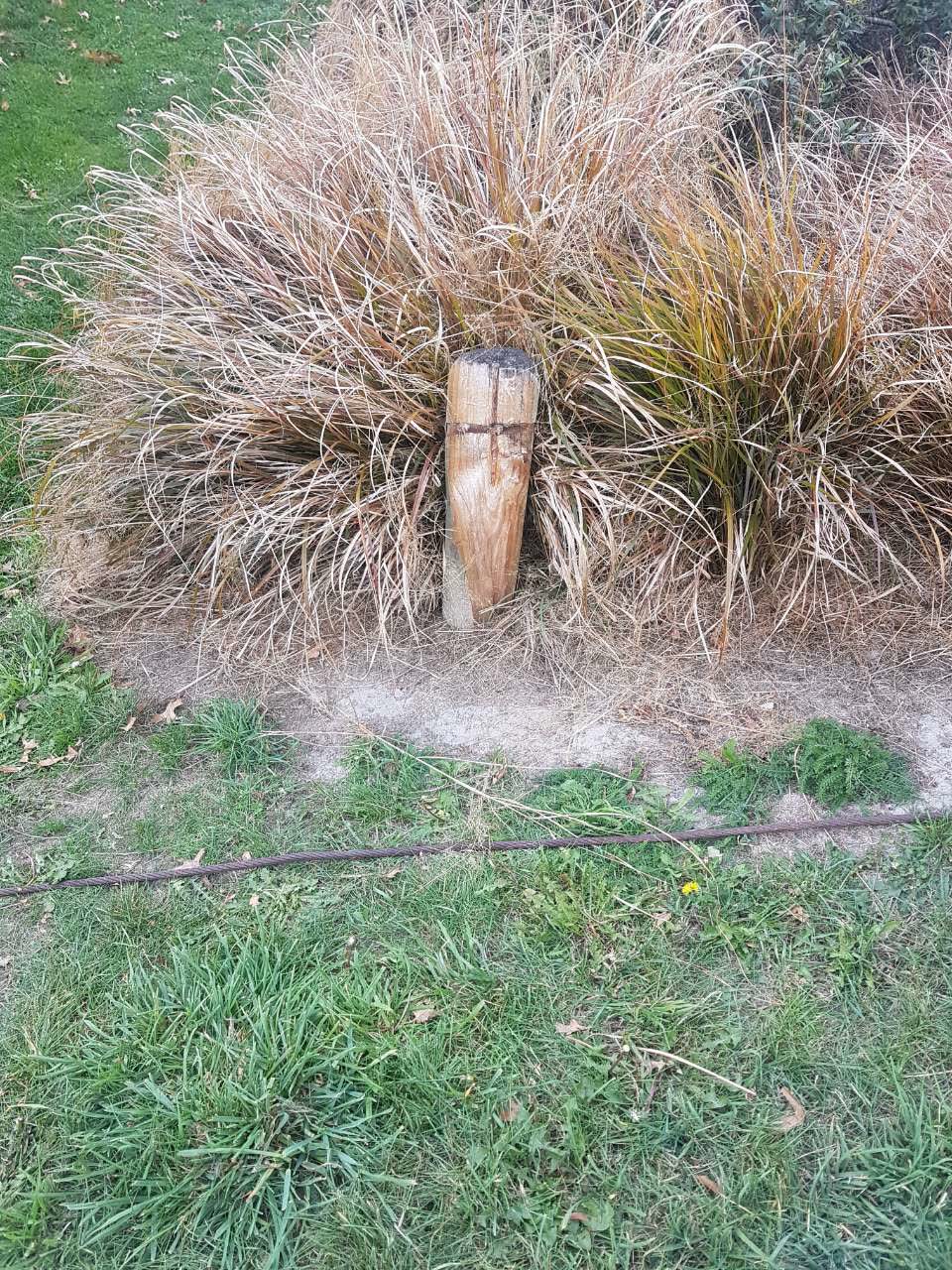 The photograph attached to this parks report