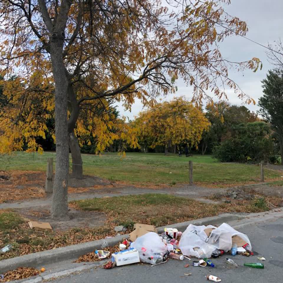 The photograph attached to this rubbish/recycling report