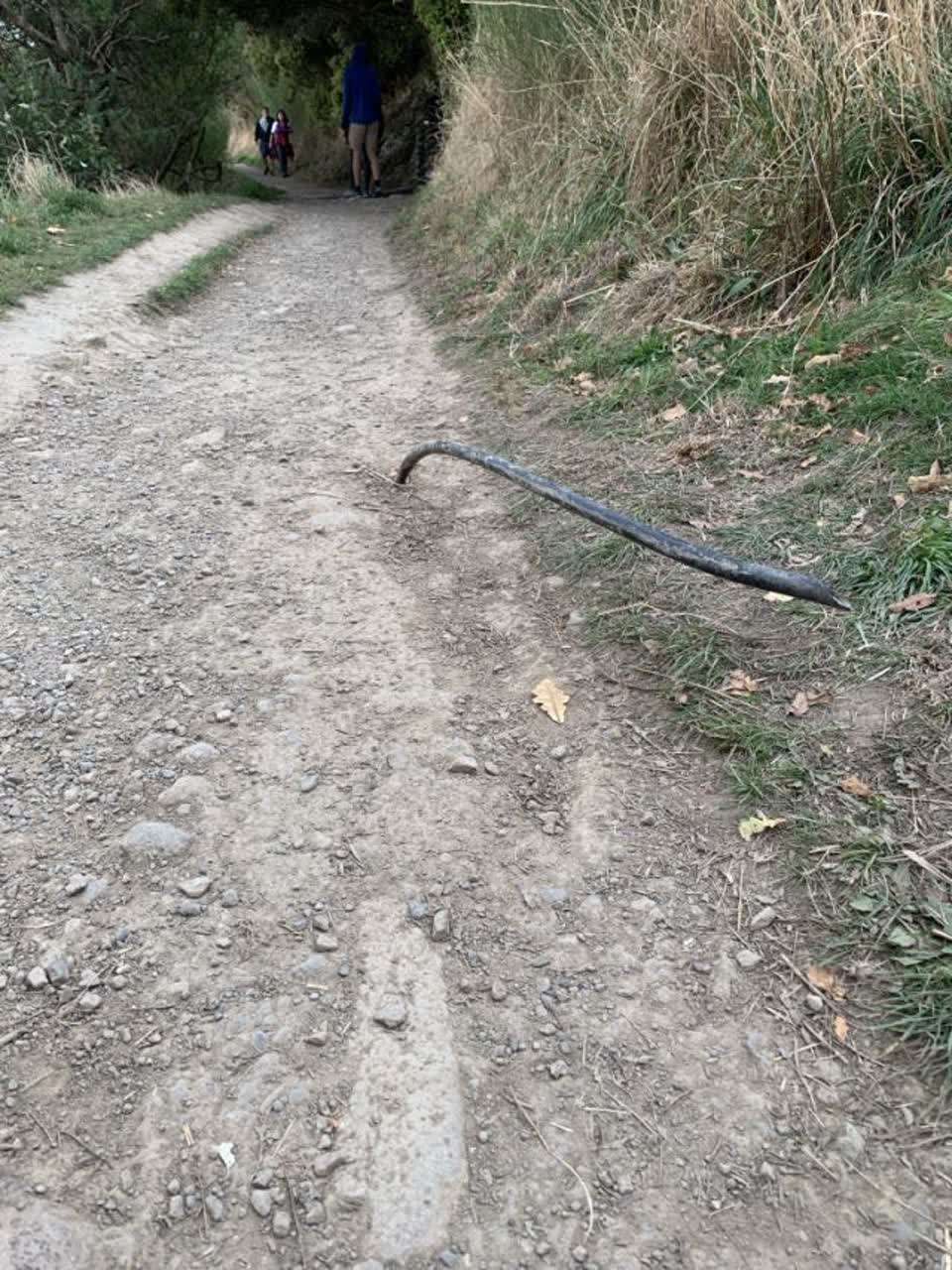 The photograph attached to this parks report