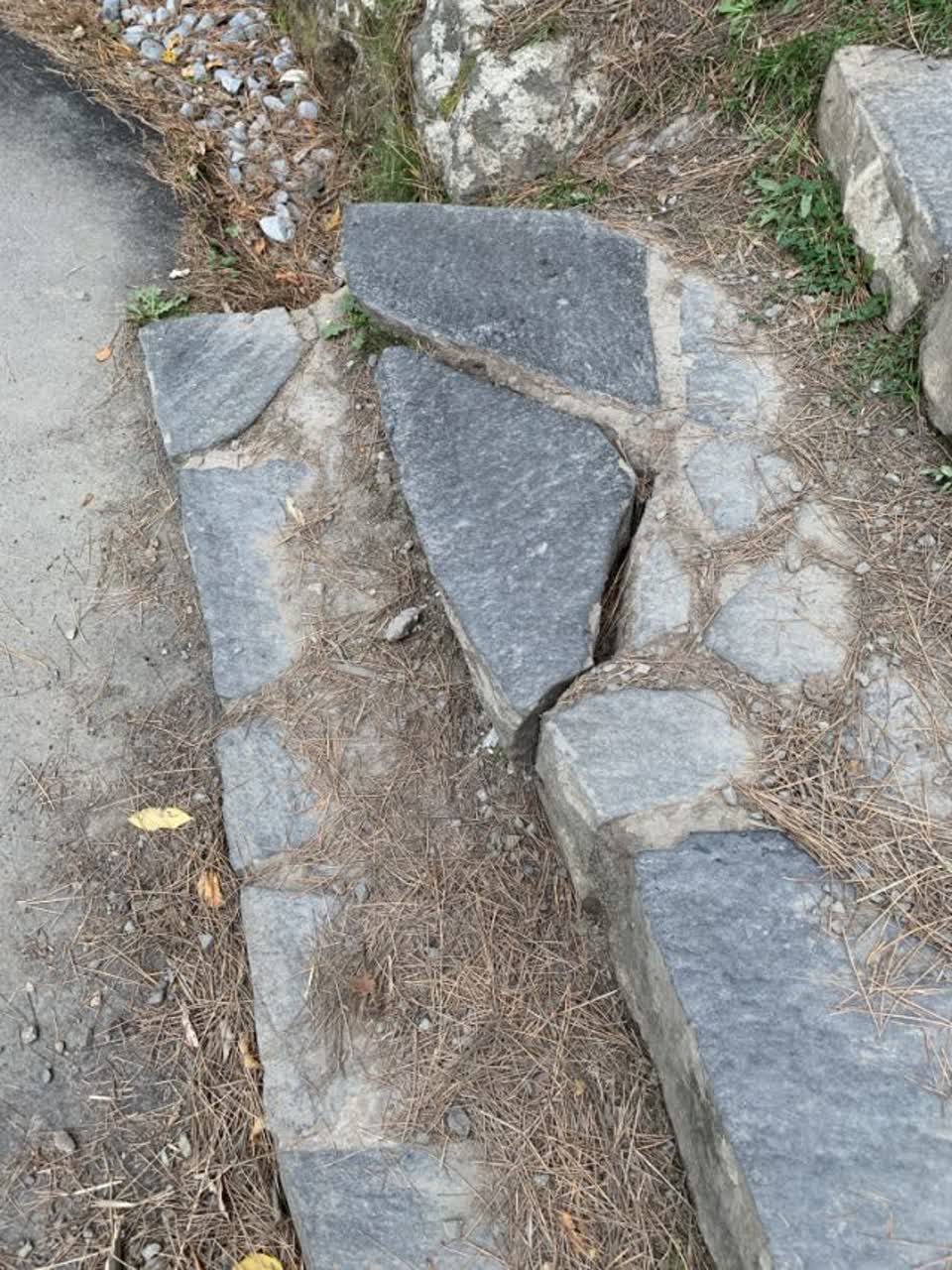 The photograph attached to this parks report