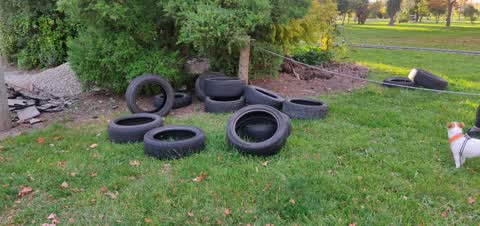 Rubbish/Recycling, a report photo