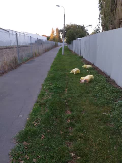 Roading/Streets, a report photo
