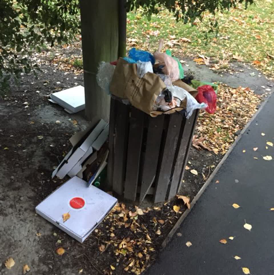 The photograph attached to this rubbish/recycling report