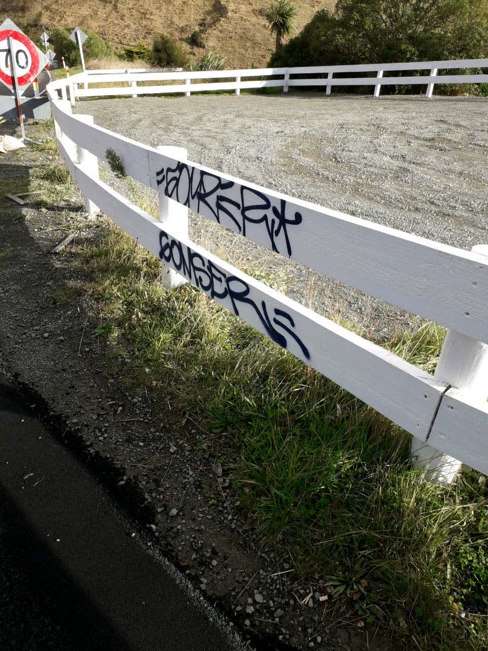 The photograph attached to this graffiti report