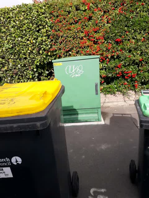 Graffiti, a report photo