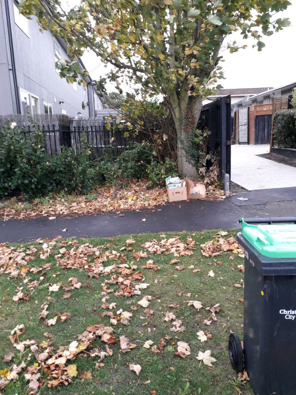 The photograph attached to this rubbish/recycling report