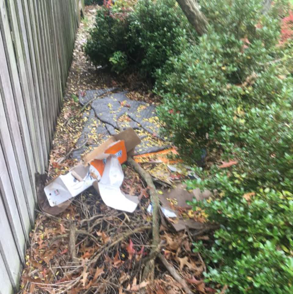 The photograph attached to this parks report