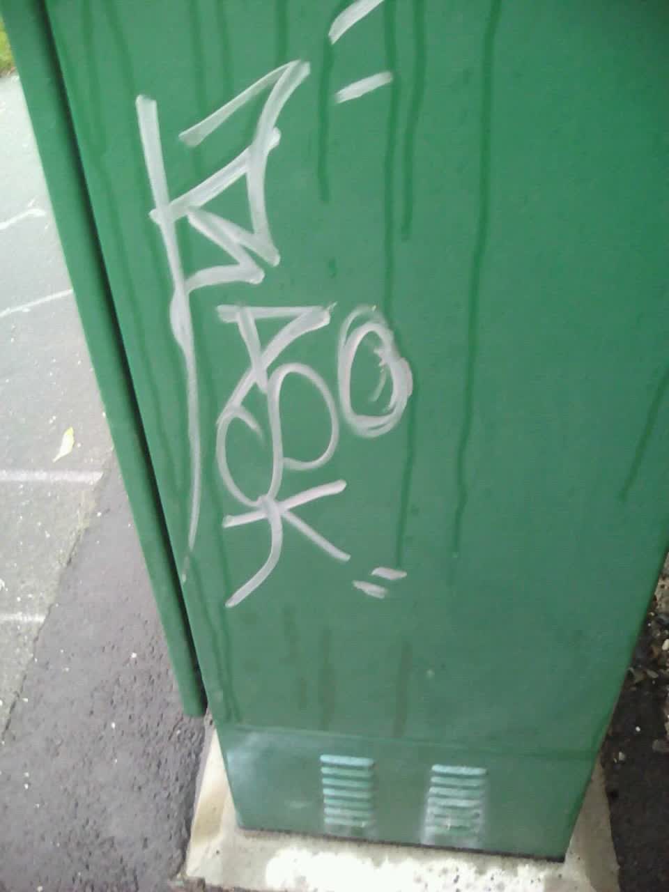 The photograph attached to this graffiti report