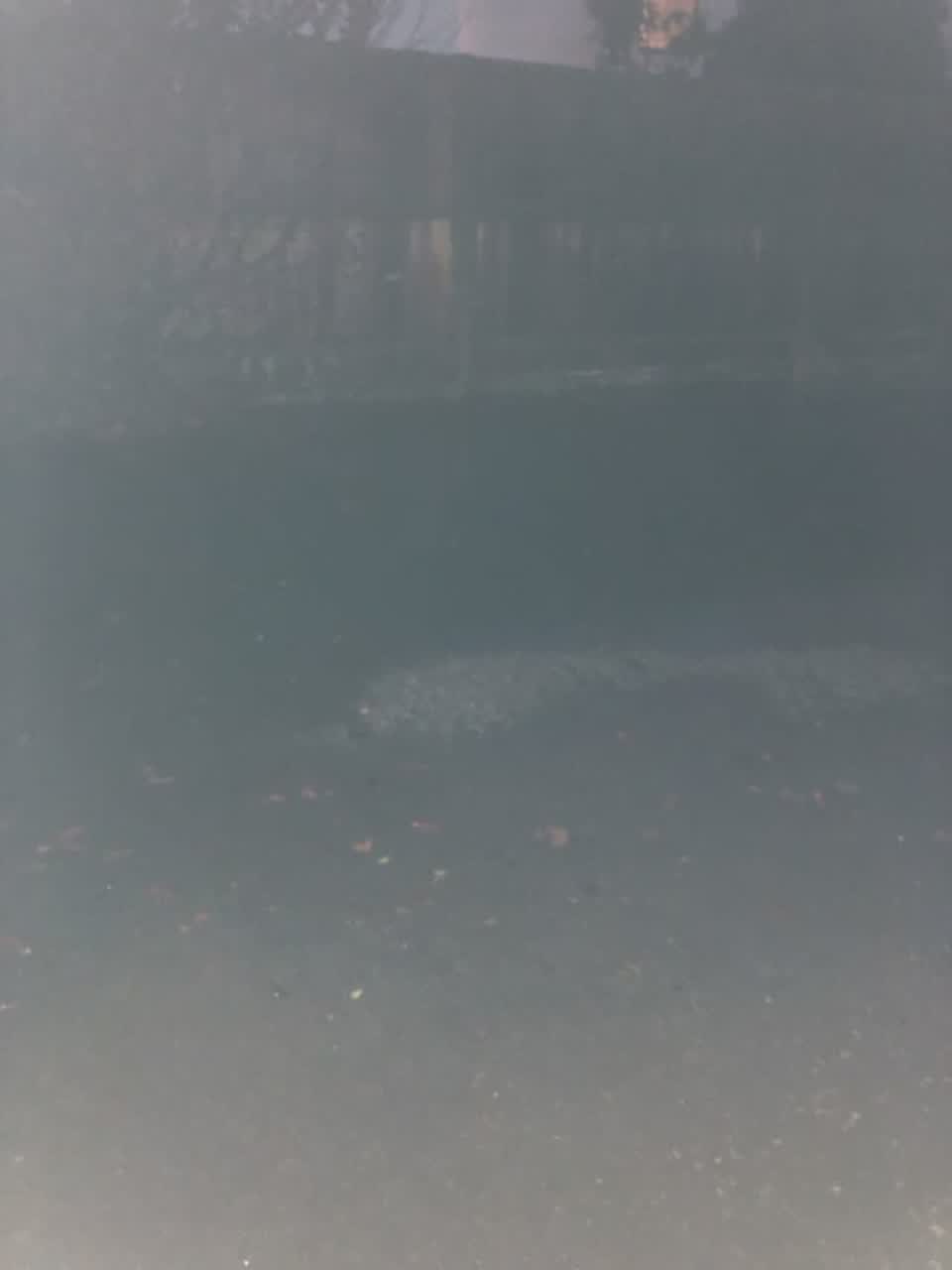 The photograph attached to this flooding report