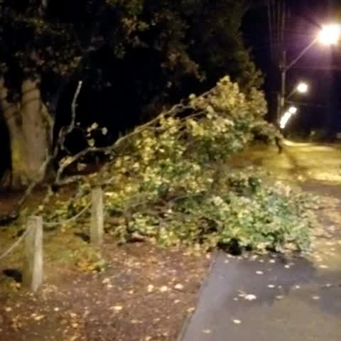 Parks — a report photo
