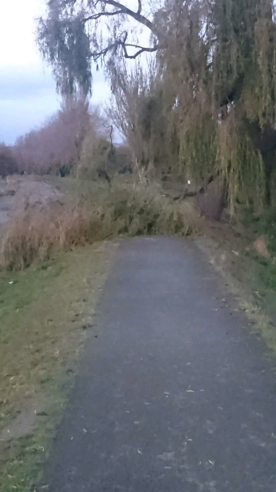 The photograph attached to this parks report