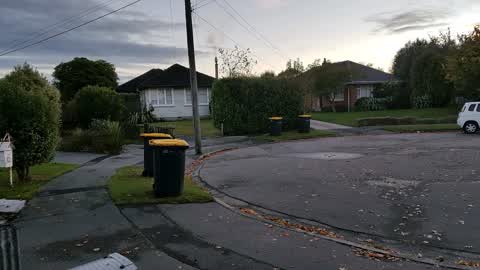 Rubbish/Recycling, a report photo