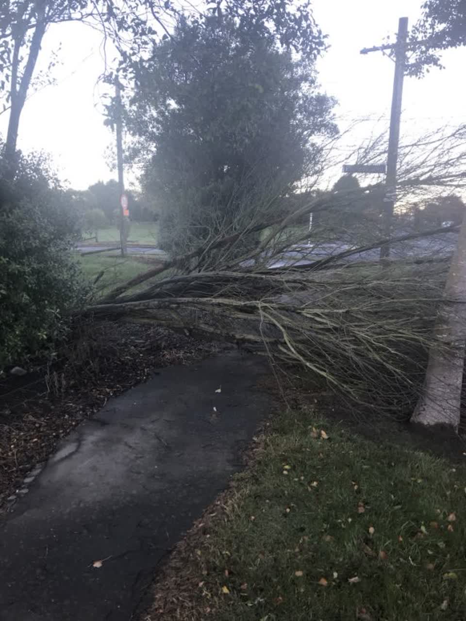 The photograph attached to this roading/streets report