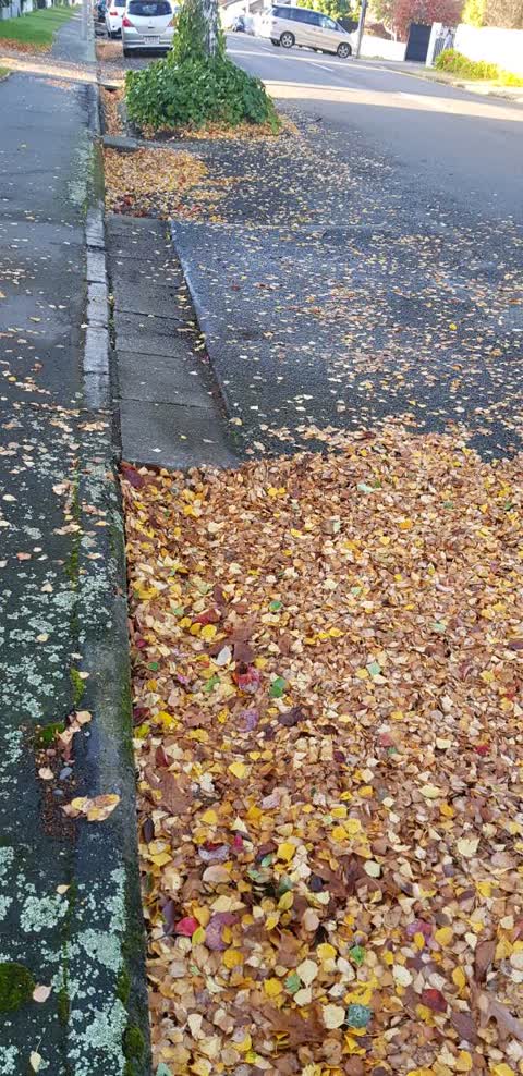 Roading/Streets, a report photo