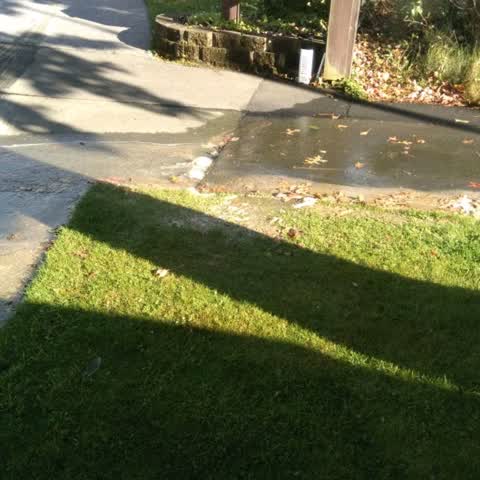 Wastewater/Stormwater, a report photo
