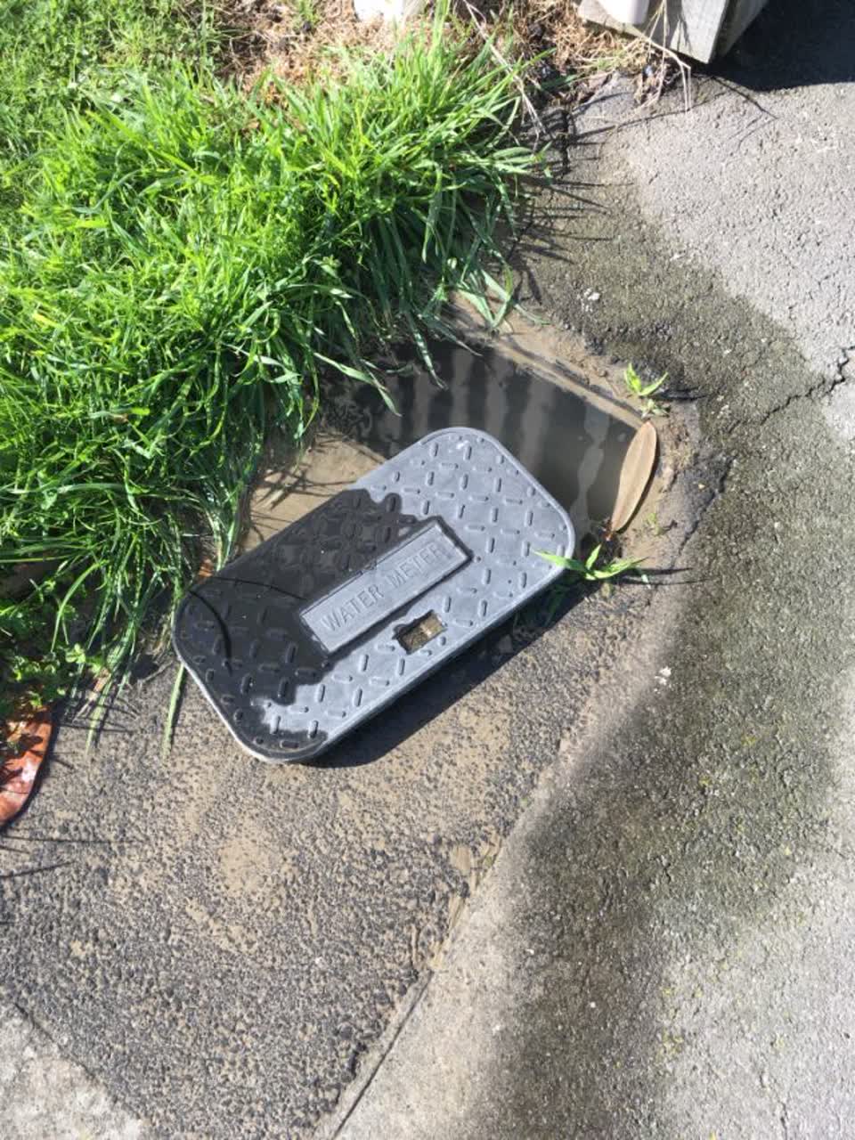 The photograph attached to this water supply report