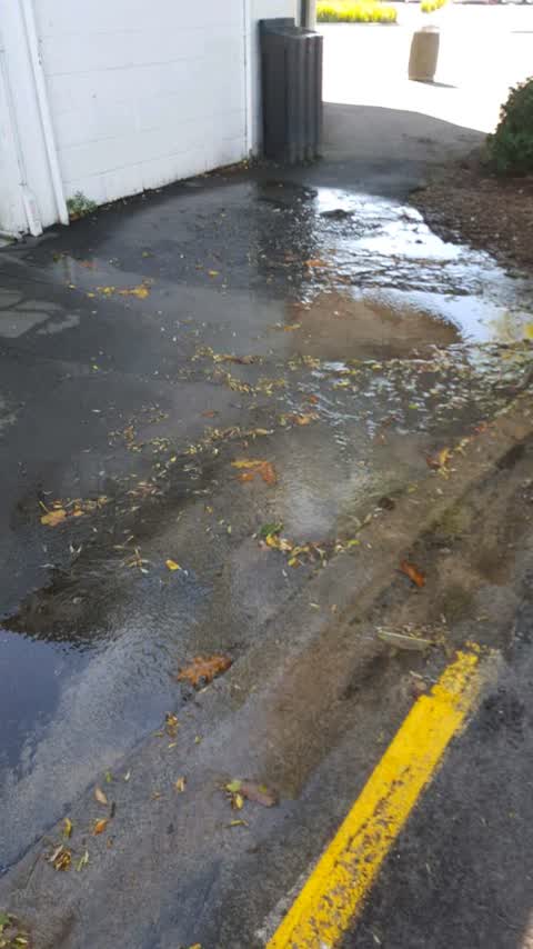 Water Supply — a report photo