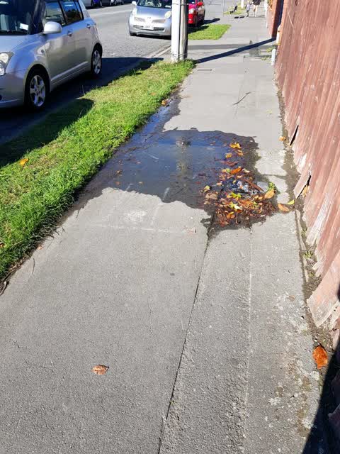 Water Supply, a report photo