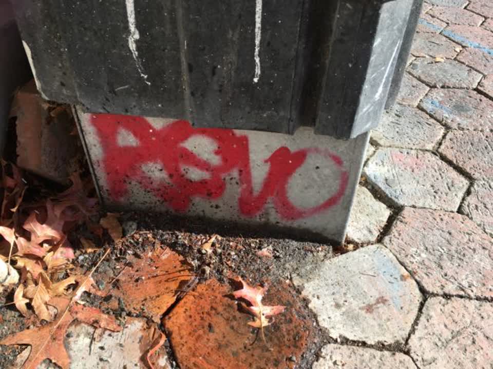 The photograph attached to this graffiti report