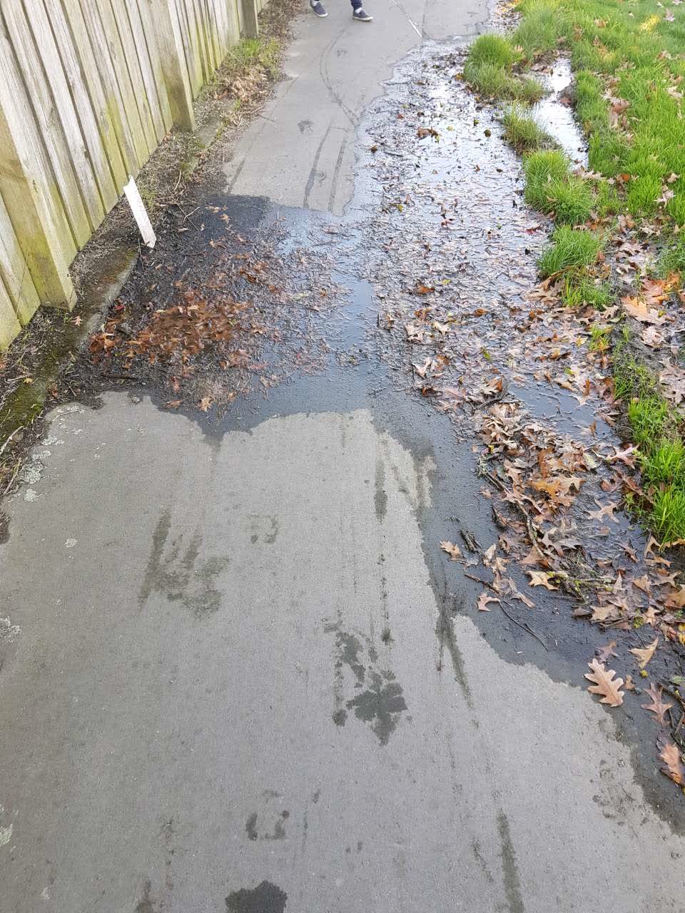 The photograph attached to this water supply report