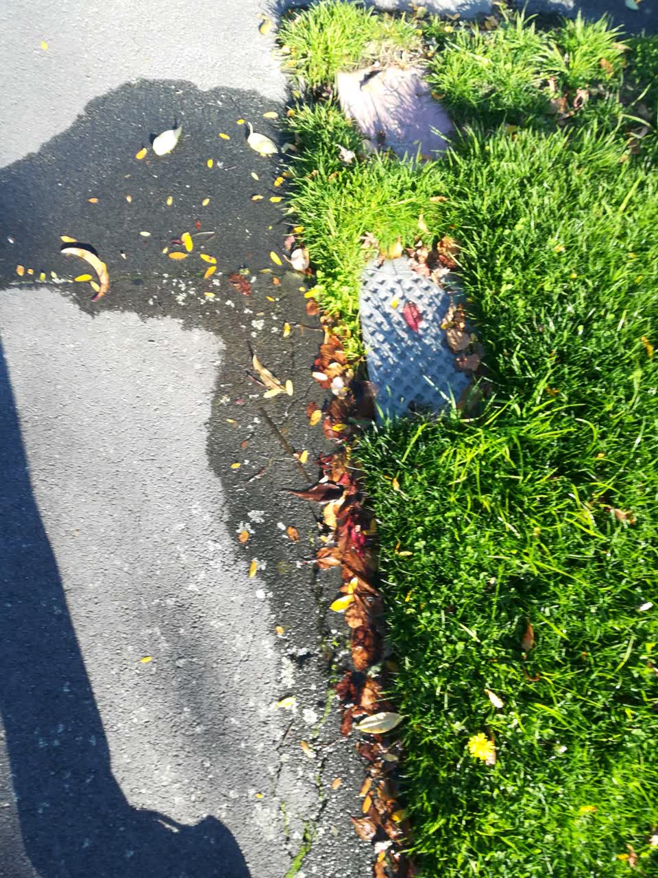 The photograph attached to this water supply report
