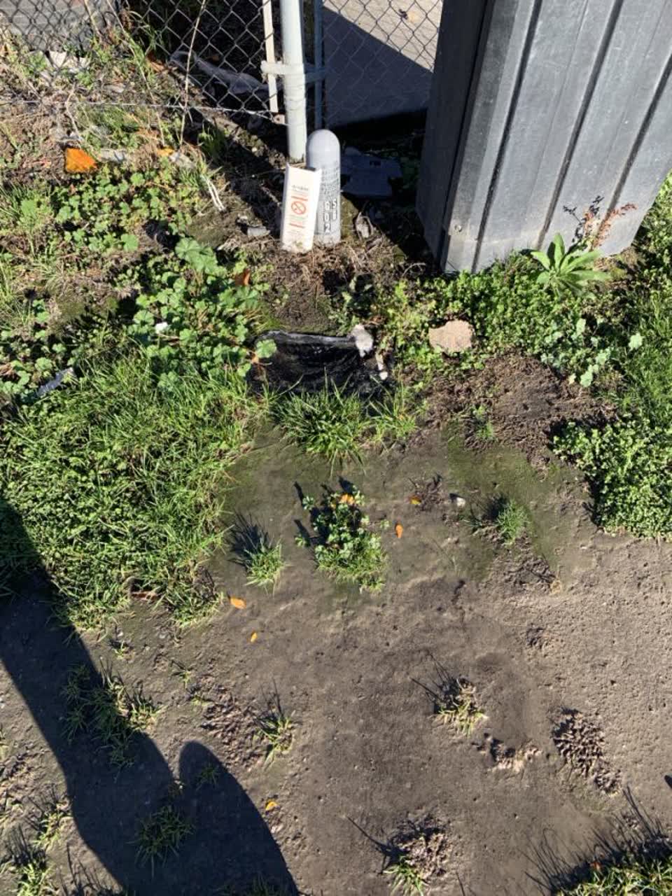 The photograph attached to this water supply report