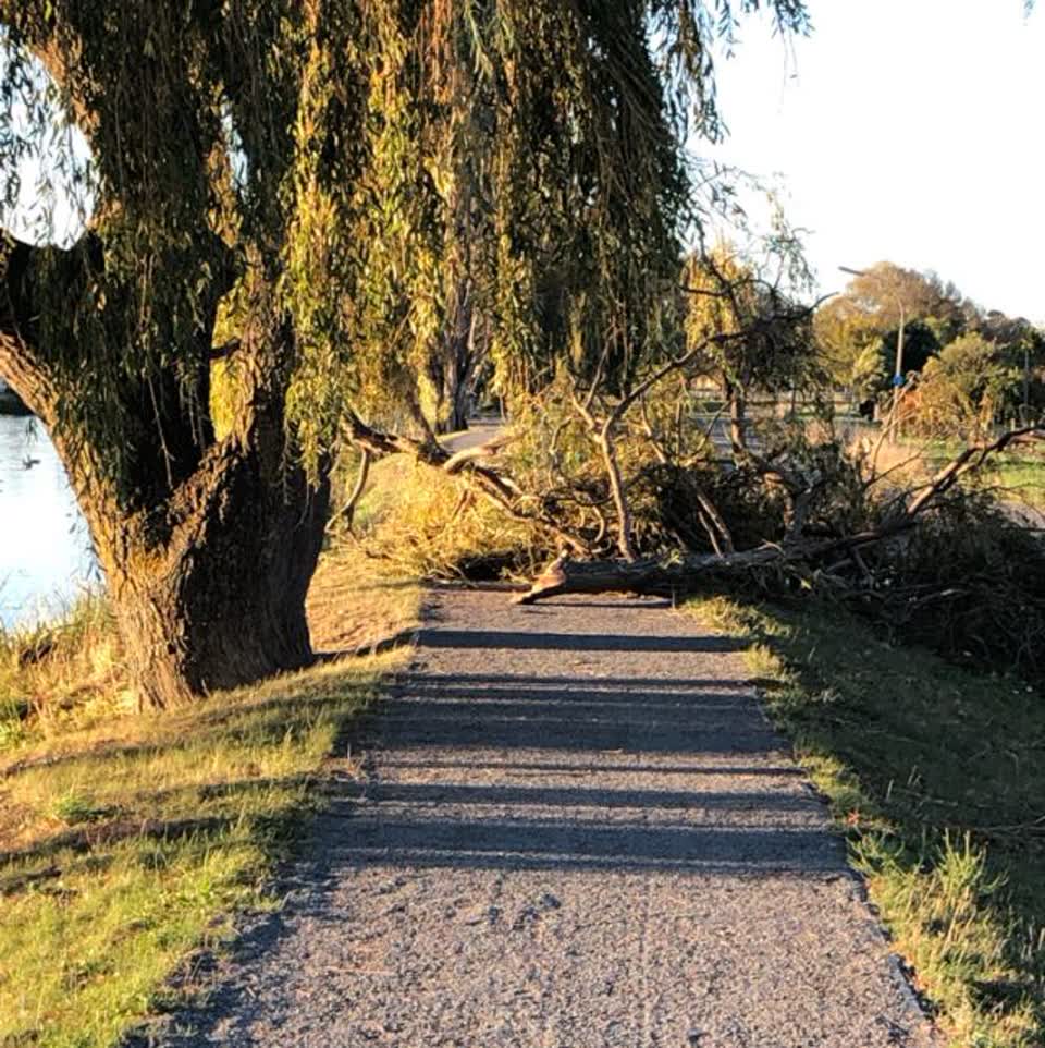 The photograph attached to this parks report
