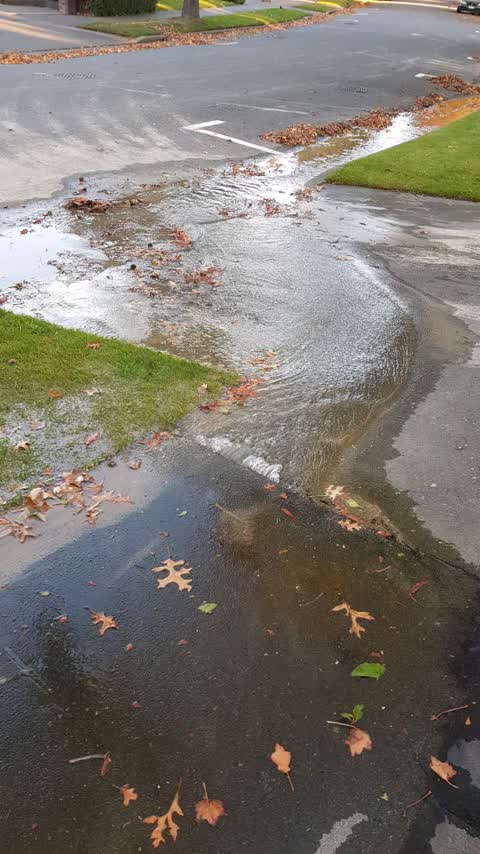 Water Supply, a report photo