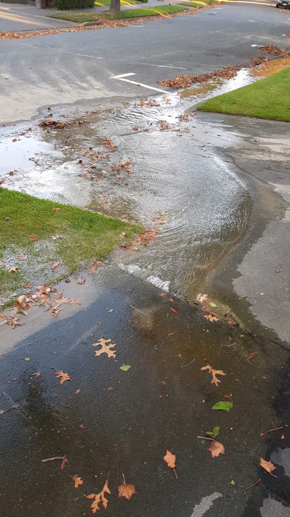 The photograph attached to this water supply report