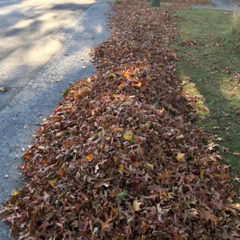 Wastewater/Stormwater — a report photo