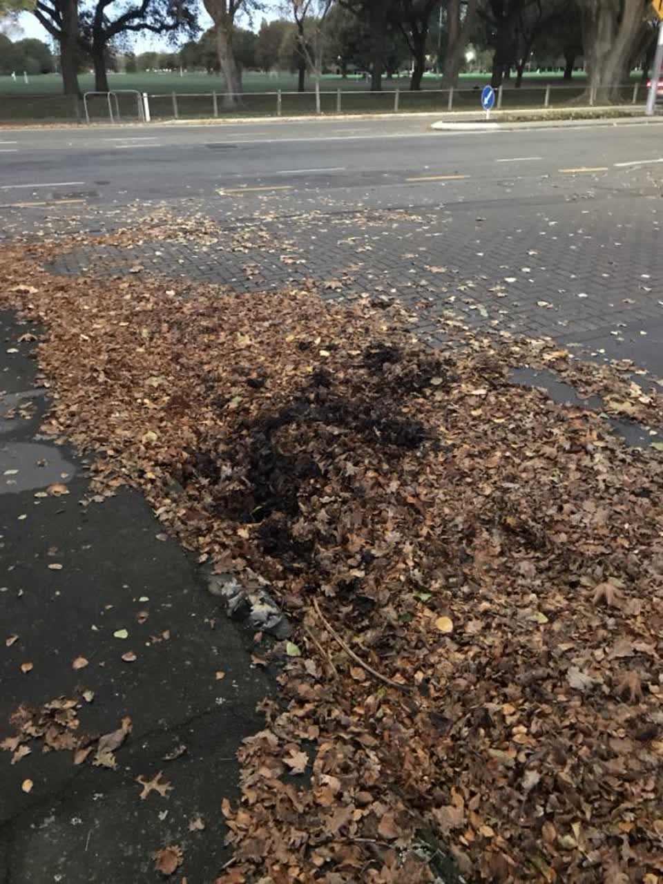 The photograph attached to this flooding report