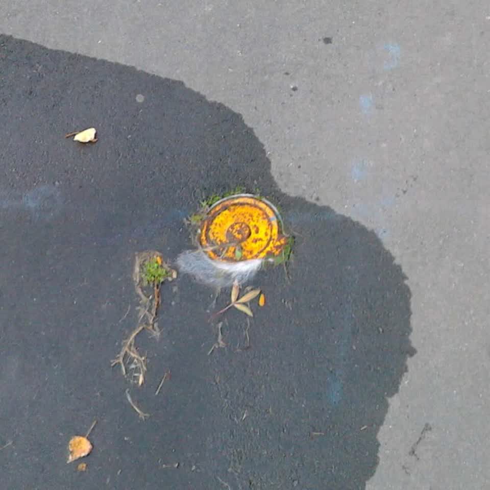 The photograph attached to this wastewater/stormwater report