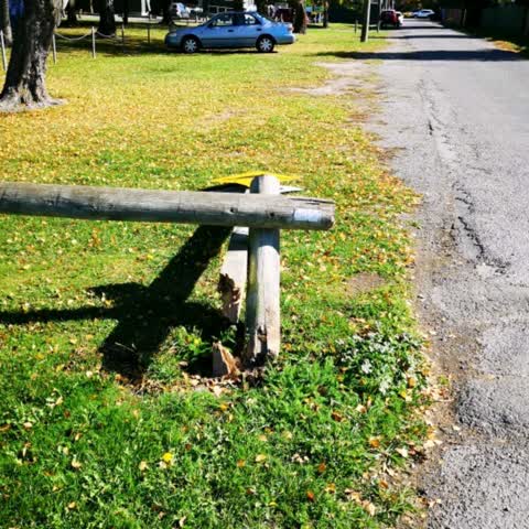 Parks — a report photo