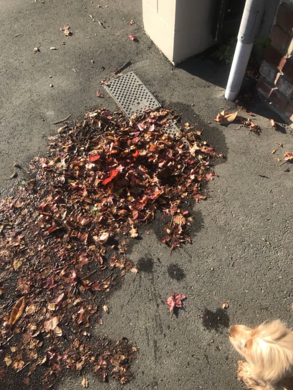 The photograph attached to this water supply report