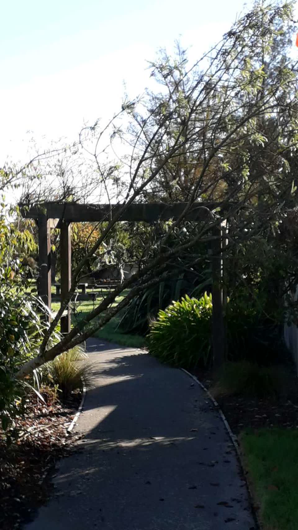 The photograph attached to this parks report
