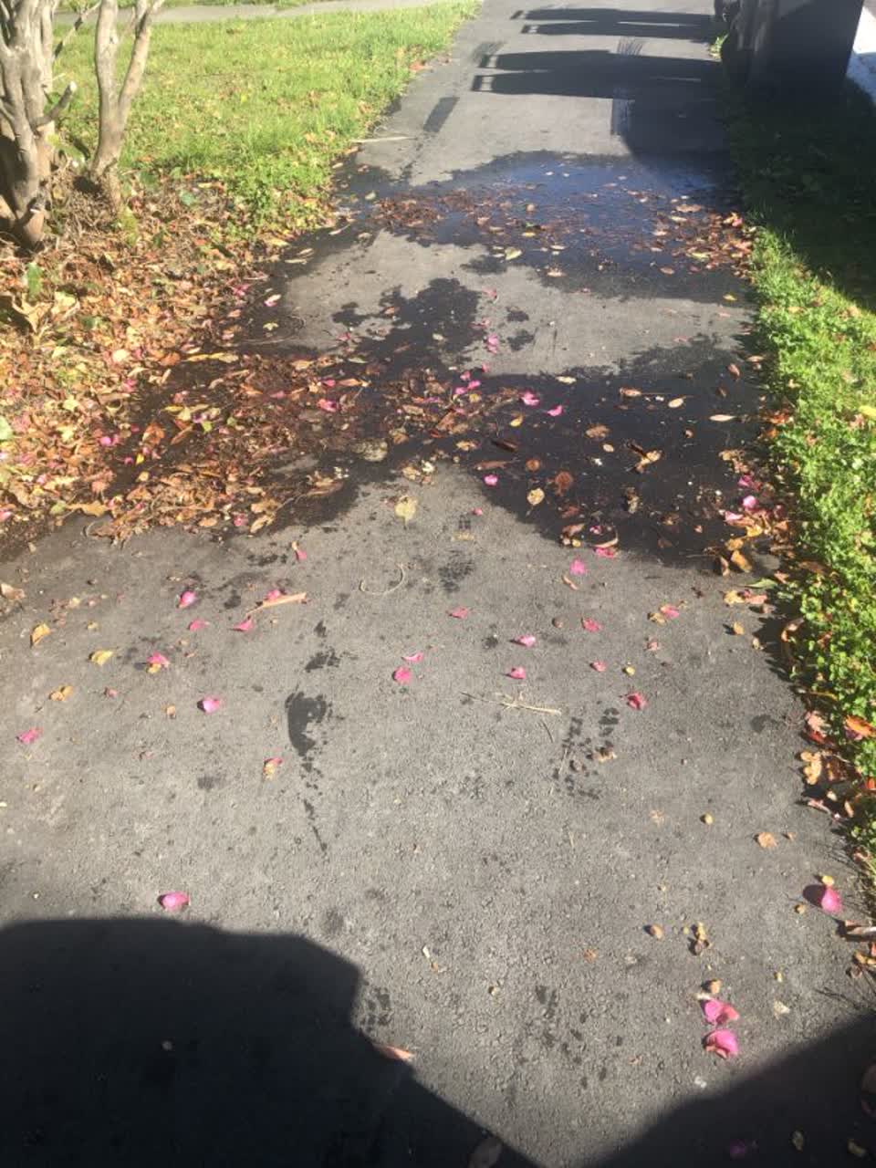 The photograph attached to this water supply report