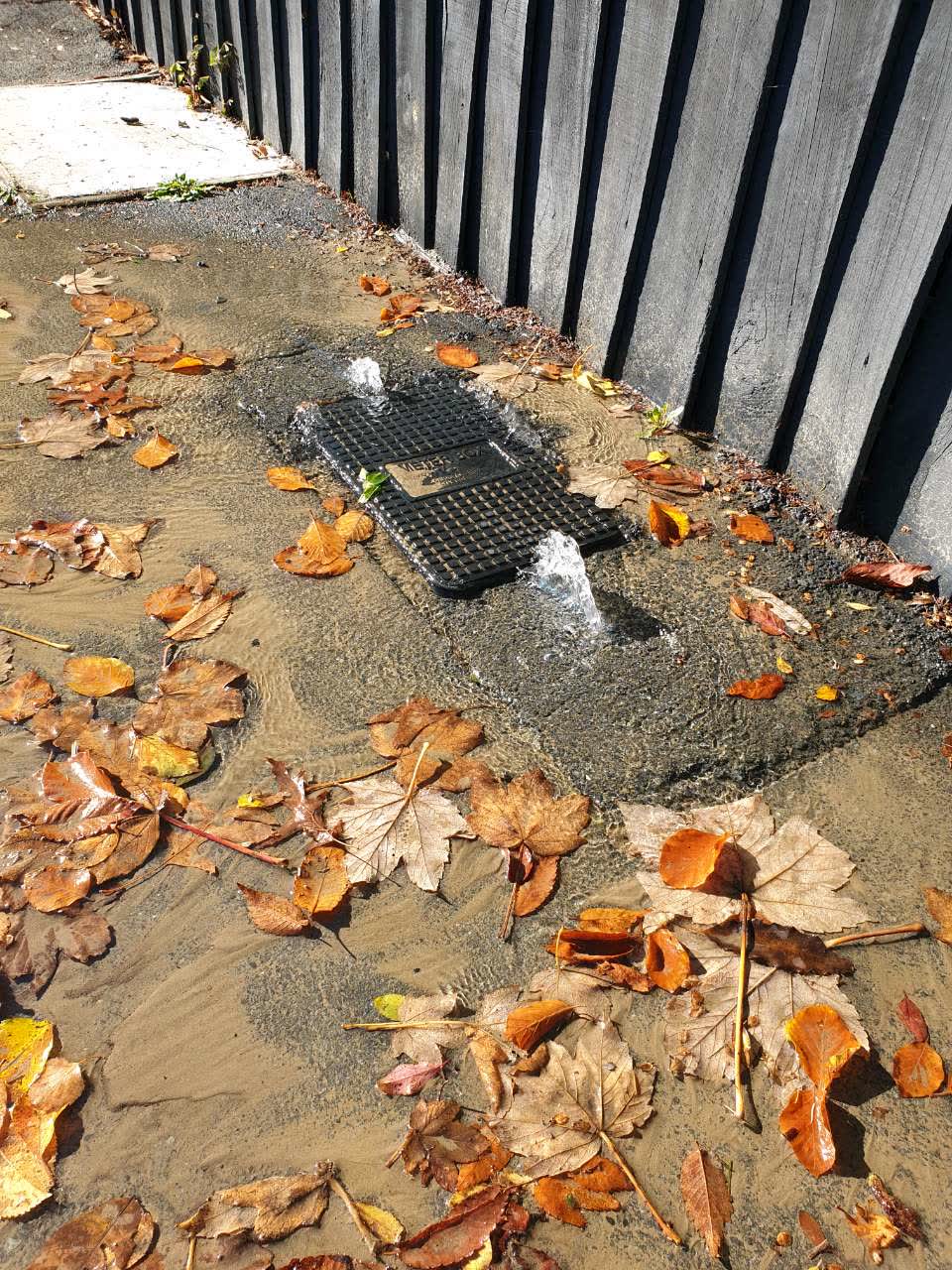 The photograph attached to this water supply report
