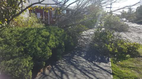 Roading/Streets, a report photo